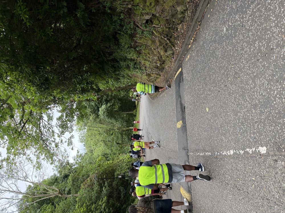 A long line of walkers heading up a wooded road in the morning